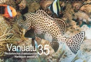 Colnect-609-955-Harlequin-Sweetlips-Plectorhinchus-chaetodontoides.jpg