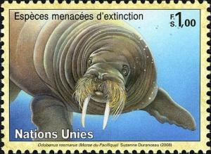 Colnect-611-499-Walrus-Odobenus-rosmarus.jpg