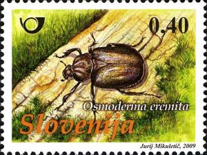 Colnect-689-196-FAUNA---beetles---Osmoderma-eremita-Scopoli.jpg