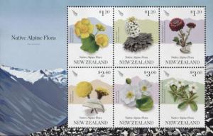 NZ010MS.19.jpg