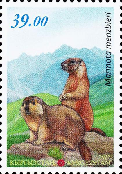 Colnect-4906-409-Menzbier--s-marmot-Marmota-menzbieri.jpg