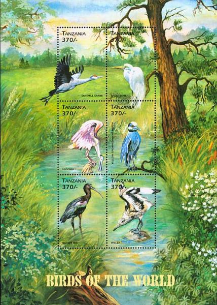 Colnect-3746-328-Birds-of-the-world-sheet.jpg