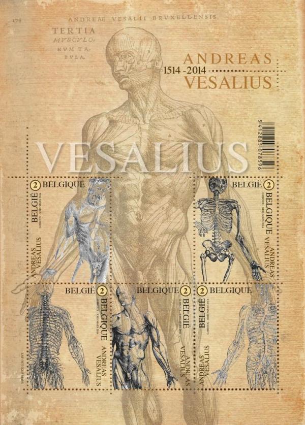 Colnect-2085-985-Andreas-Vesalius---De-Humani-Corporis-Fabrica.jpg