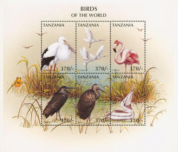 Colnect-3746-317-Birds-of-the-world-sheet.jpg