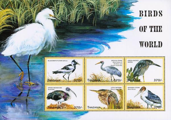 Colnect-3746-335-Birds-of-the-world-sheet.jpg