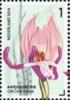 Colnect-2107-817-Orchis-Simia-Monkey-Orchid.jpg