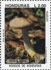 Colnect-3106-863-Boletus-regius-Royal-boletus.jpg