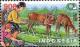 Colnect-1143-465-Boys-feeding-Red-Deer.jpg