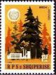 Colnect-1494-443-Firs-Abies-spp-sawmill.jpg