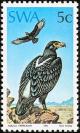 Colnect-2287-611-Verreaux-s-Eagle-Aquila-verreauxii.jpg