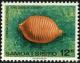 Colnect-2613-291-Children-s-Cowry-Cypraea-childreni.jpg