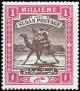 Sudan-camel1898watermarks.jpg-crop-536x615at2-2.jpg