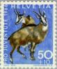 Colnect-140-307-Chamois-Rupicapra-rupicapra.jpg