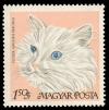 1884_Cat_150.jpg