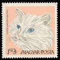 1884_Cat_150.jpg