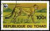 Colnect-1459-664-Cheetah-Acinonyx-jubatus.jpg