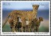 Colnect-2122-411-Cheetah-Acinonyx-jubatus.jpg