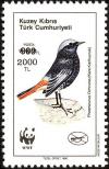 Colnect-2482-723-Black-Redstart-Phoenicurus-ochruros.jpg