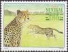 Colnect-2700-420-Cheetah-Acinonyx-jubatus.jpg