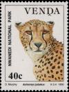 Colnect-2840-146-Cheetah-Acinonyx-jubatus.jpg