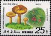 Colnect-2933-557-Lactarius-hygrophoides.jpg