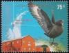 Colnect-3348-239-Great-Skua-Catharacta-skua-Research-Station-San-Martin.jpg