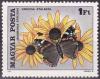 Colnect-586-498-Red-Admiral-Vanessa-atalanta-Showy-Black-eyed-Susan-Rudb.jpg