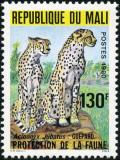 Colnect-2000-317-Cheetah-Acinonyx-jubatus.jpg