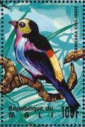 Colnect-2376-014-Paradise-Tanager-Tangara-chilensis.jpg