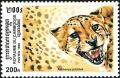 Colnect-2715-836-Cheetah-Acinonyx-jubatus.jpg