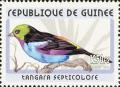 Colnect-3813-917-Paradise-Tanager-Tangara-chilensis.jpg