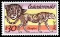 Colnect-4012-226-Cheetah-Acinonyx-jubatus.jpg