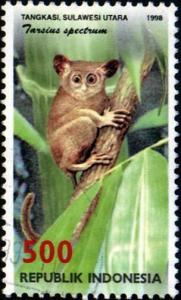 Colnect-940-840-Spectral-Tarsier-Tarsius-spectrum.jpg