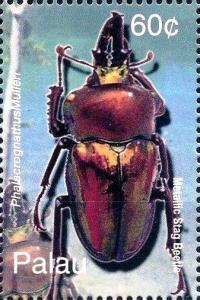 Colnect-3522-432-Metallic-stag-beetle.jpg