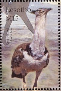 Colnect-1725-617-Kori-Bustard-Ardeotis-kori%C2%A0%C2%A0-.jpg