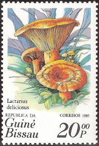 Colnect-1168-657-Lactarius-deliciousus.jpg