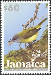 Colnect-1615-175-Blue-Mountan-Vireo-Vireo-osburni-.jpg