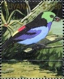 Colnect-3523-347-Paradise-Tanager-Tangara-chilensis.jpg