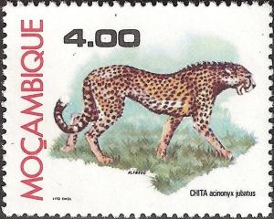 Colnect-1115-437-Cheetah-Acinonyx-jubatus.jpg