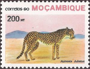 Colnect-1122-353-Cheetah-Acinonyx-jubatus.jpg