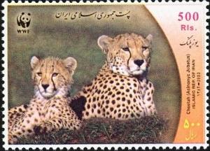 Colnect-1592-149-Cheetah-Acinonyx-jubatus.jpg