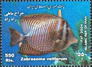 Colnect-1592-471-Sailfin-Tang-Zebrasoma-veliferum.jpg