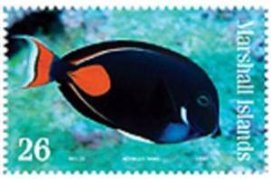 Colnect-1902-183-Achilles-Tang-Acanthurus-achilles-.jpg