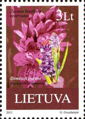 Colnect-1938-490-Dactylorrhiza-stained---Dactylorhiza-maculata.jpg