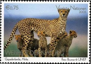 Colnect-2122-411-Cheetah-Acinonyx-jubatus.jpg