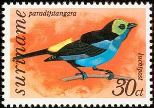 Colnect-2315-491-Paradise-Tanager-Tangara-chilensis.jpg