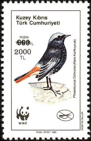 Colnect-2482-723-Black-Redstart-Phoenicurus-ochruros.jpg