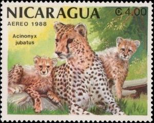 Colnect-2754-598-Cheetah-Acinonyx-jubatus.jpg