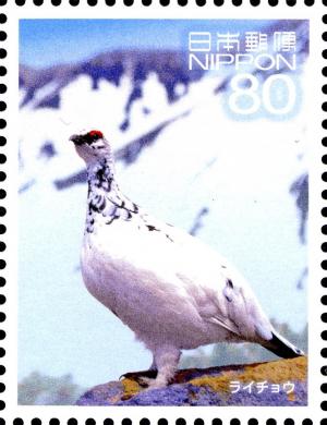 Colnect-3048-639-Rock-Ptarmigan-Lagopus-muta.jpg