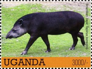 Colnect-3053-302-Lowland-Tapir-Tapirus-terrestris.jpg